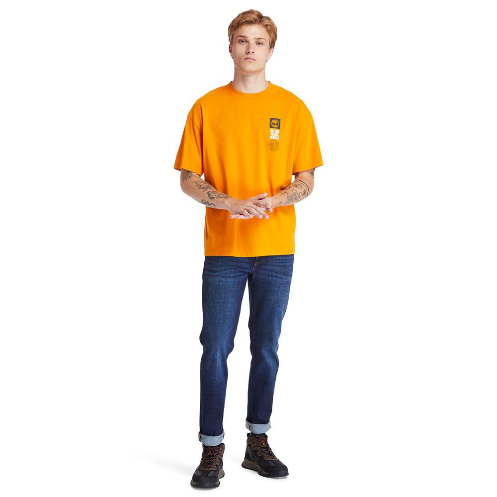 Camisetas Masculino - Timberland Heritage Short-Sleeve Tree Pack - XMPNZ7480 - Laranja